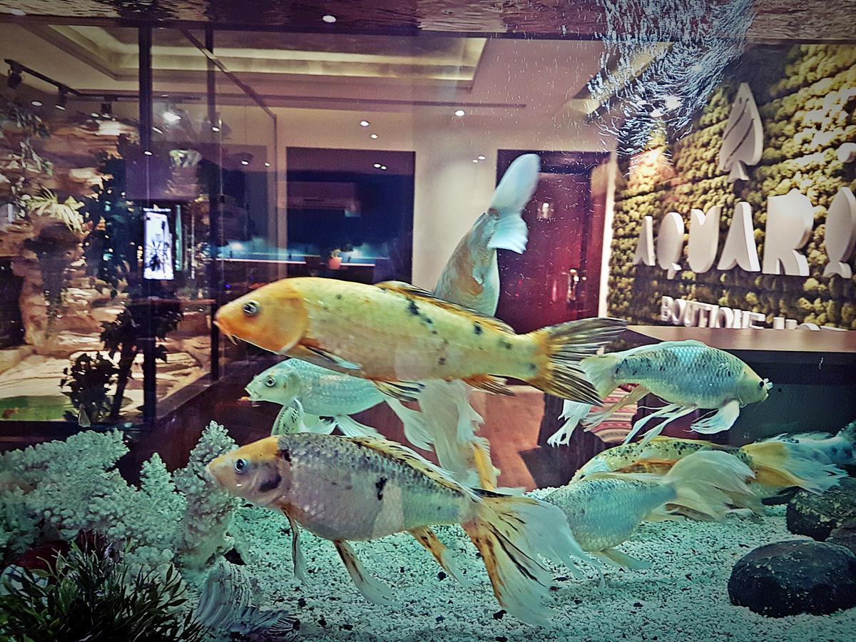Aquarium Hotel Ar Riyad Esterno foto