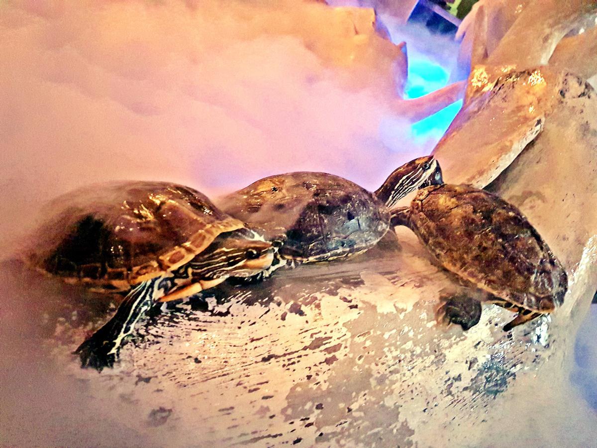 Aquarium Hotel Ar Riyad Esterno foto